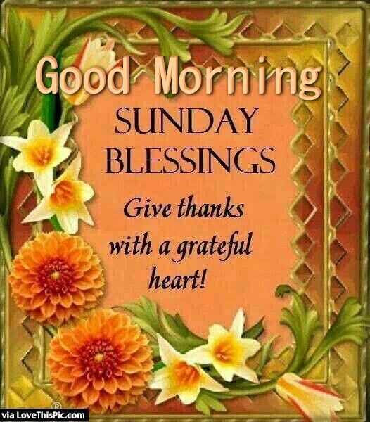 242184-Good-Morning-Sunday-Blessings-Give-Thanks
